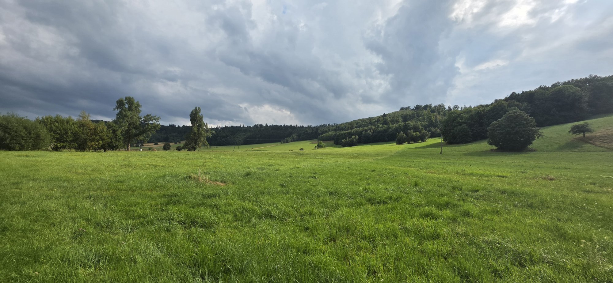 Dwie działki rolne 3,76  ha w Kaczorowie